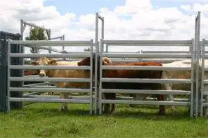 Australia Galvanized Livestock Sheep Yard Panel Sale