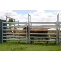 Australia Galvanized Livestock Sheep Yard Panel Hot Sale