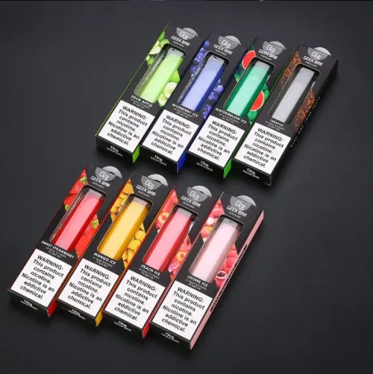 Disposable electronic cigarette geek bar vape