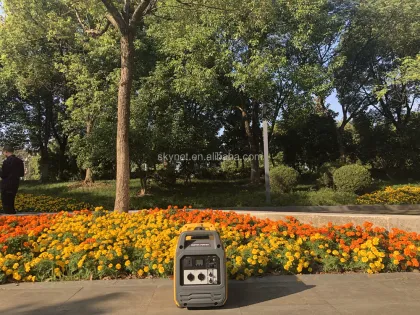 DOTON Brand Powerful 2000W Super Silent Inverter Generator