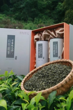 Premium Organic Green Tea Leaves for Daily Wellness