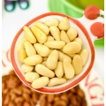 500g Delicious Pine Nut