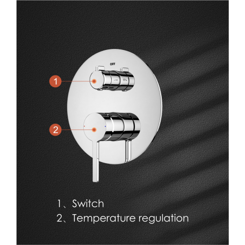 Levier simple rond douche cachée mxer