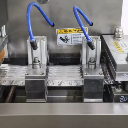 Efficient Servo-Driven Alu-Alu Packing Machine
