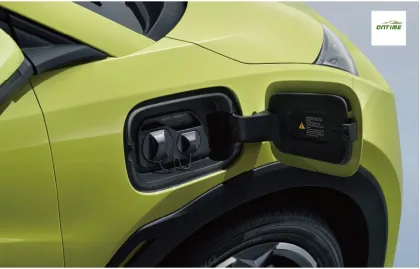 New Energy Motors Car Electric Vehicle Ontime Seagull