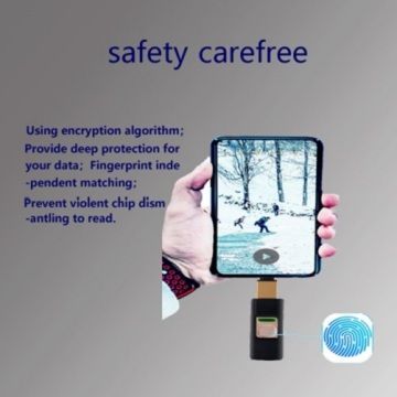 Factory Direct Selling Fingerprint U Disk