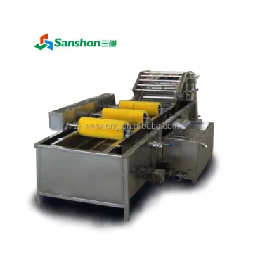 Industrial Vegetable and Fruit Washing Machine - Food Washer