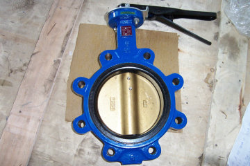 Cast Iron Lug Type Butterfly Valve