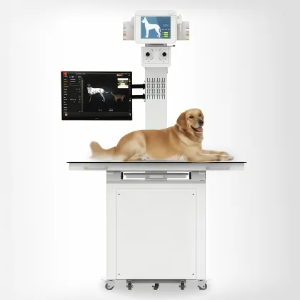 Veterinary DR X-ray Machine