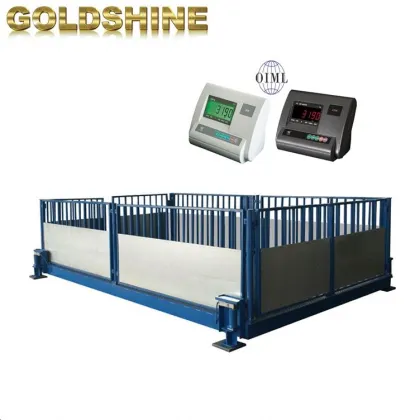 Livestock Weigh Scales: Pigs, Sheep, and Lambs