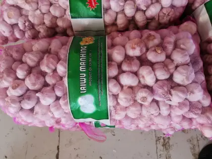 Sri lanka Colombo Market Standard Garlic