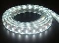 AC110V ruban LED Light LED Strips vente directe d’usine