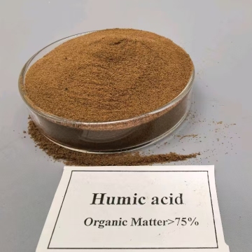 Humic Acid Powder: Boost Turkey`s High-Yield Cash Crops