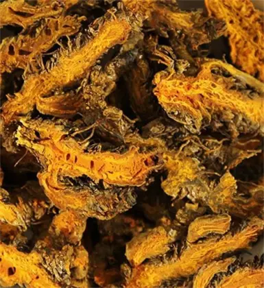 Huang Lian his tablets