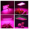 Dual Spectrum LED Grow Light para plantas de cultivo