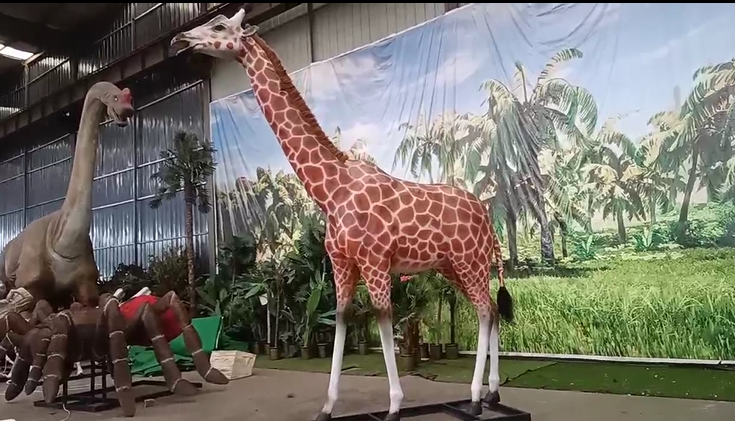 视频7缩略图