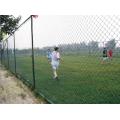 Galvanized PVC Coated Chain Link Fence