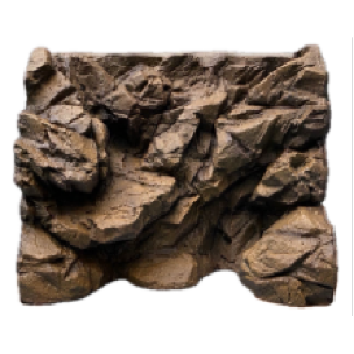 Versión de decoración del terrario del dragón barbudo