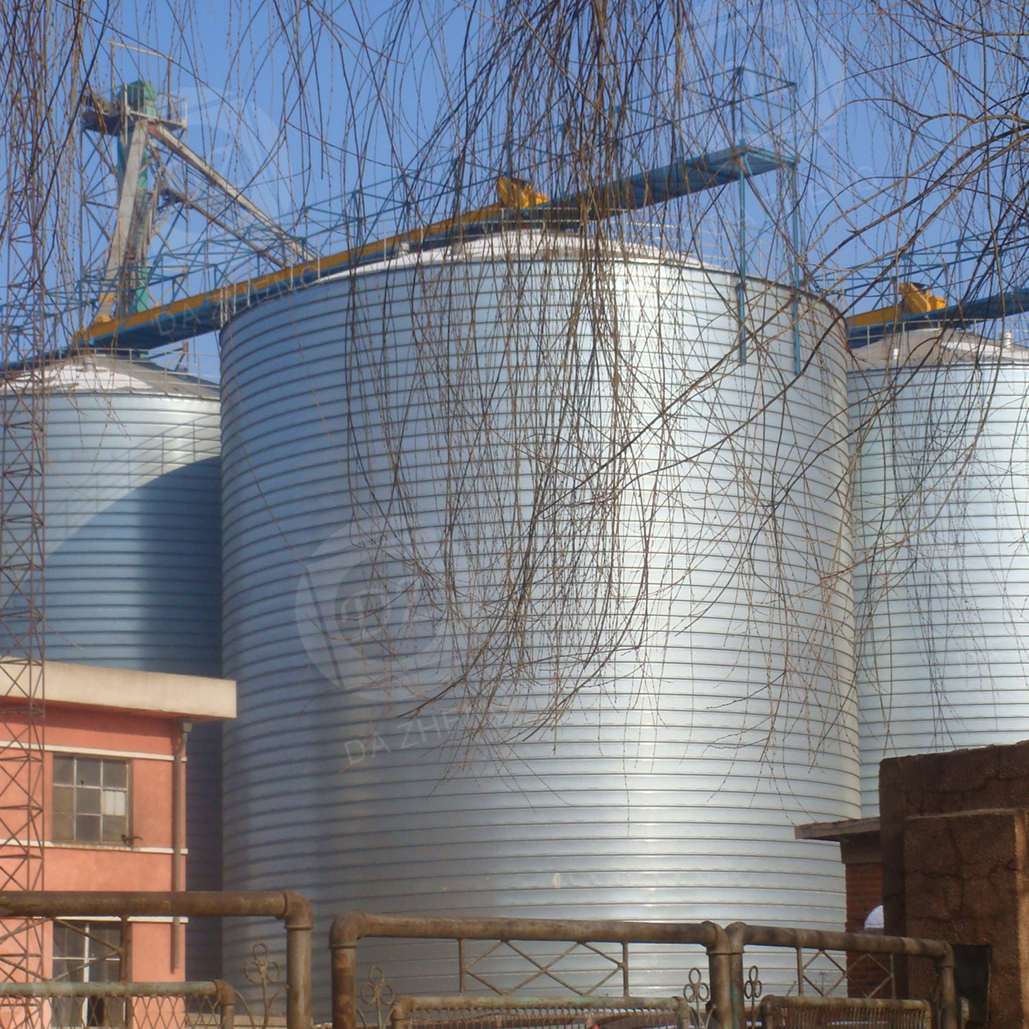 Livestock feed storage silos