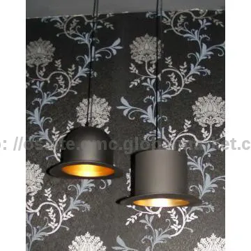 Black  aluminum ceiling lights