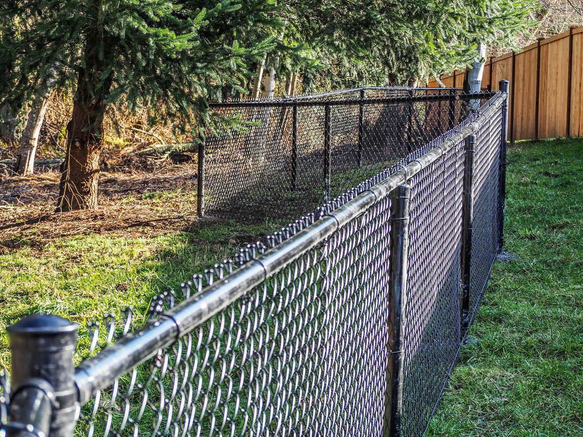 chain link fence1