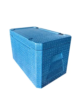 Expanded Polypropylene VIP Insulation Box