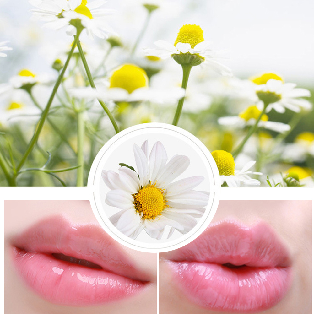 Chamomile Lip Balm Upper Lip Effect Jpg