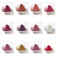 Premium Cocos Nucifera Extract for Nutraceuticals