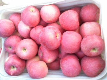 2014 Chinese Fresh FUJI Apples (SGS Certification)