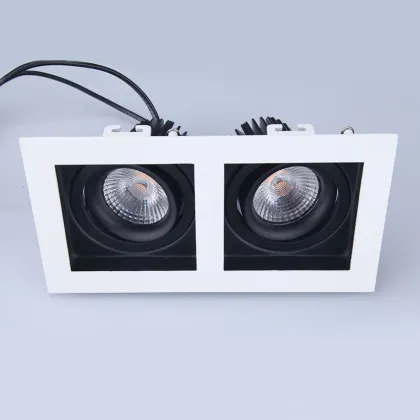 Customizable Double Head Anti-Glare COB Downlight