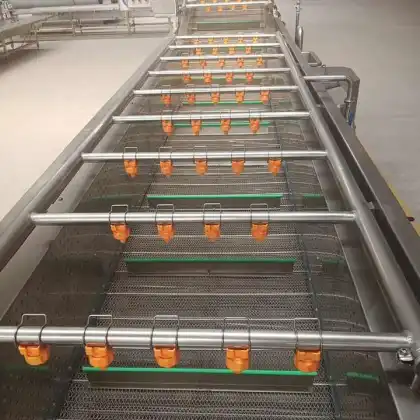 Vegetable and Fruit Cleaning Machine