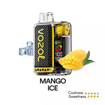 VOZOL Vista 20000 Puffs Rechargeable Vape In Stock