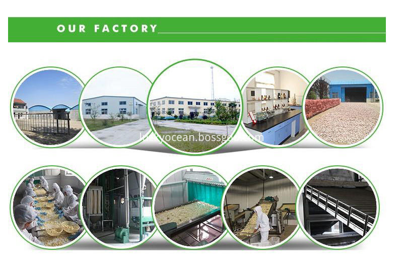 1-factory