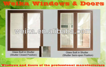 Hung windows with shutter glass