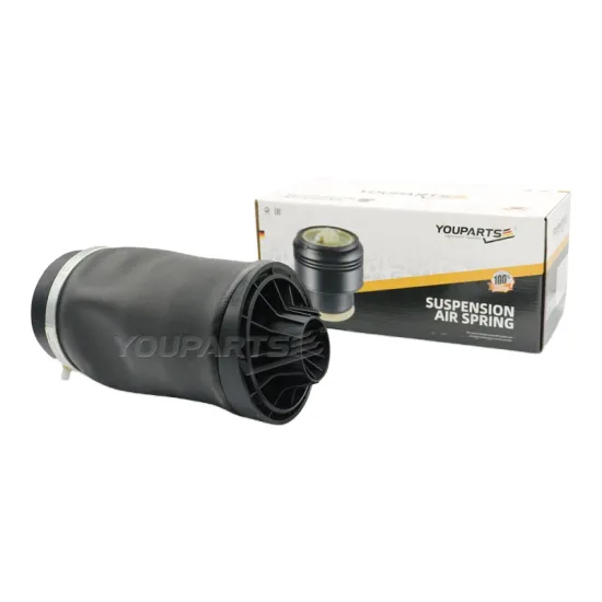 YOUPARTS 2513200425 Air Spring Air Bag Suspension for Mercedes-Benz R-Class W251