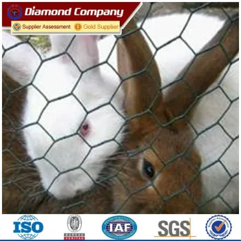 hexagonal plastic mesh