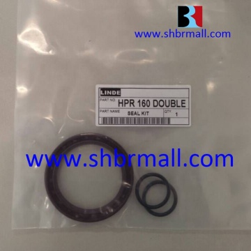 Search Engine Title: Aftermarket Seal Kits for HPR160 Linde Double Main Pump Maintenance and Repair Solutions