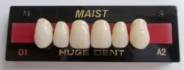 Dentures MAIST