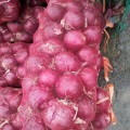 High Quality Fresh Red Onions