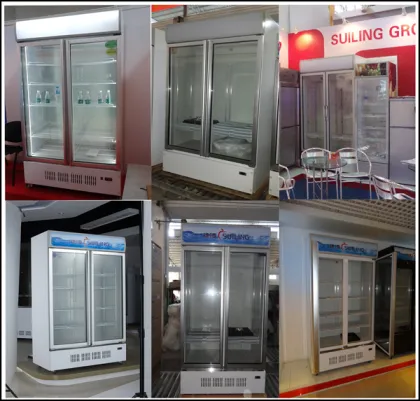 -18C ~ -23C ice cream freezer vertical display refrigerator freezer