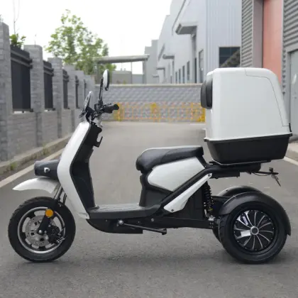 S3 Fat Tire Electric Tricycle