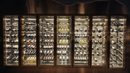 Commercial Wine Cellar Luxury Kitchen Wine Cellar Cabinet Cooling Restaurant Wine Cellars