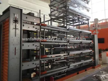 automatic Poultry Farm layer cage for layer chickens