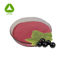 Beste Quaity -Getränk -Additive Maqui Berry Fruchtpulver