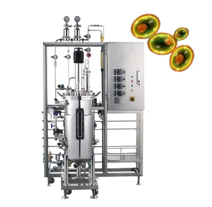 Customizable Plant Tissue & Yeast Bioreactors - 3L to 15L