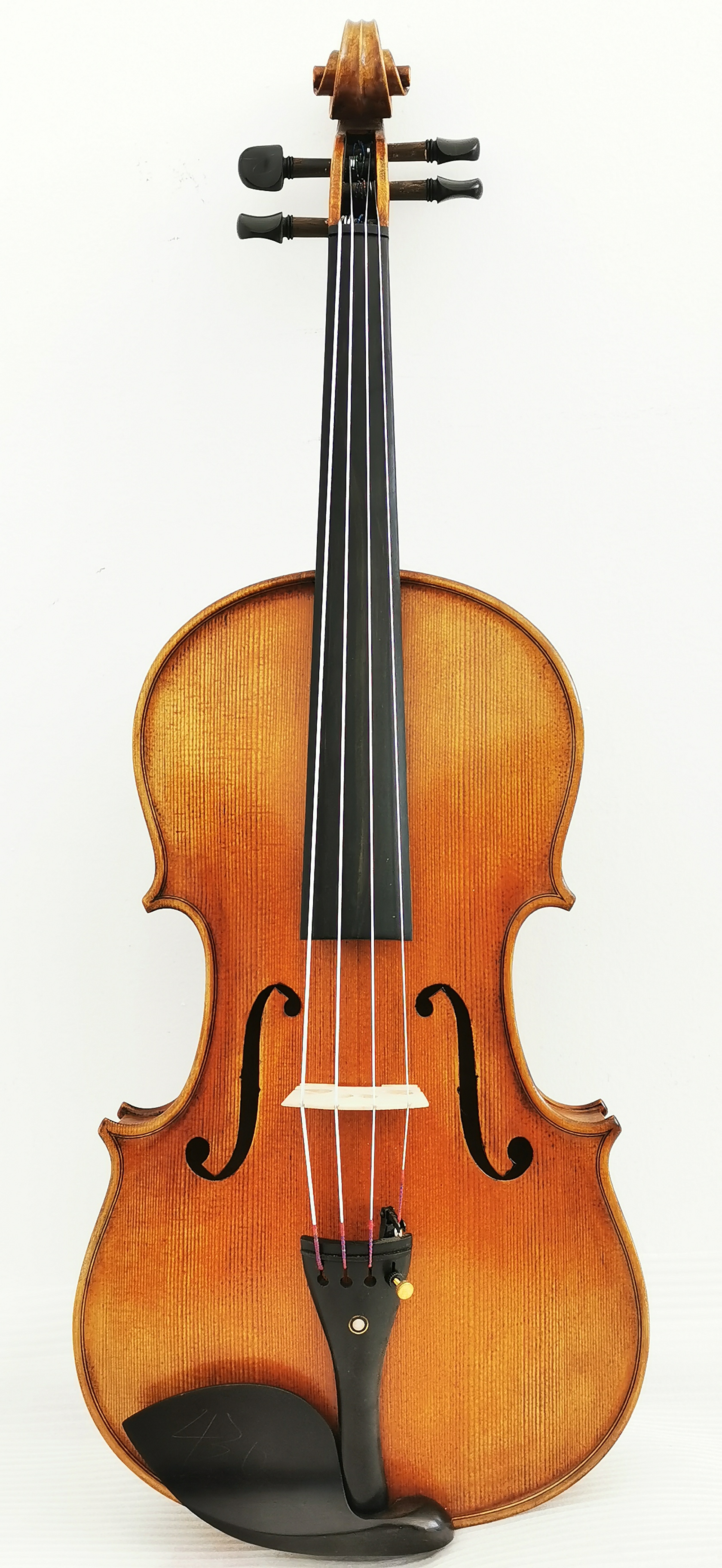 Viola5-1