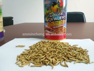 FDA grade Organic natural fish food mealworm