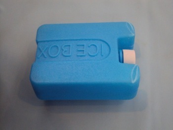 ice box 350g 750g 1000g