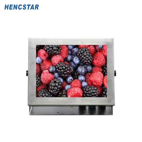 12'' Stainless Steel Waterproof Industrial All-In-One PC
