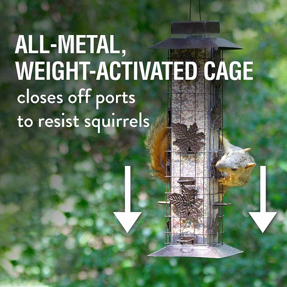 Hanging Bird Feeder Squirrel Proof